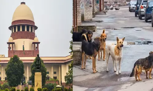 सुप्रीम कोर्ट में कुत्तों के लिए माइक्रोचिपिंग का सुझाव, वकील ने कहा- ये महंगा नहीं पड़ेगा सुप्रीम कोर्ट में कुत्तों के लिए माइक्रोचिपिंग का सुझाव, वकील ने कहा- ये महंगा नहीं पड़ेगा