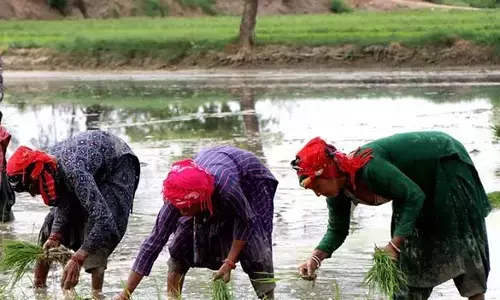 महिलाएं ही खेती को बचा सकती हैं