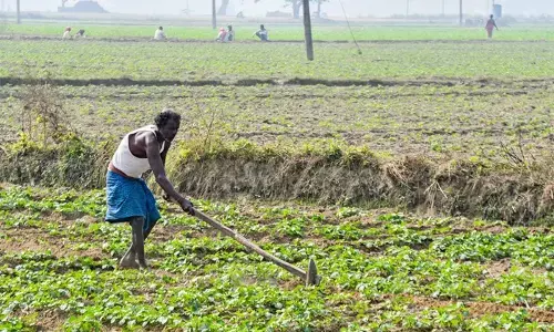 उर्वरक क्षेत्र में तेजी से आत्मनिर्भर बन रहा भारत, कुल खपत में घरेलू उत्पादन की हिस्सेदारी 73 प्रतिशत पहुंची