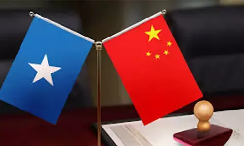 वांग यी ने सोमालिया के विदेश मंत्री से फोन पर बात की