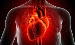 दिल्ली में ठंड और प्रदूषण से हार्ट डिजीज, सीओपीडी और अस्थमा के मामले बढ़े: एम्स