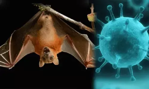 पश्चिम बंगाल में मिले निपाह वायरस के 2 संदिग्ध, केंद्र ने संभाला मोर्चा, जेपी नड्डा ने CM ममता को दिया मदद का भरोसा