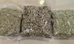 नशीली पदार्थों की तस्करी के खिलाफ डीआरआई की बड़ी कार्रवाई : करोड़ों का माल जब्त, 10 की गिरफ्तारी