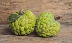 गर्भावस्था में मां और शिशु के लिए बेहद फायदेमंद है शरीफा, कब्ज, कमजोरी और तनाव से देता है राहत