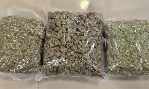 नशीली पदार्थों की तस्करी के खिलाफ डीआरआई की बड़ी कार्रवाई : करोड़ों का माल जब्त, 10 की गिरफ्तारी