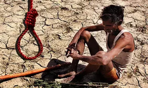 मराठवाड़ा में किसान आत्महत्याओं का संकट गहराया, पांच साल में 5,000 से ज्यादा मौतें