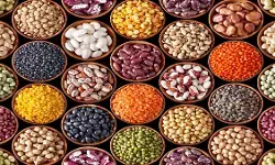 अमेरिकी टैरिफ के जवाब में भारत ने दालों पर 30% शुल्क लगाया, अमेरिकी सांसदों की ट्रंप से अपील अमेरिकी टैरिफ के जवाब में भारत ने दालों पर 30% शुल्क लगाया, अमेरिकी सांसदों की ट्रंप से अपील