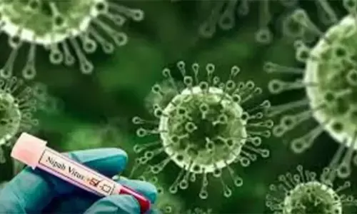 पश्चिम बंगाल में निपाह केस के बाद ओडिशा में अलर्ट