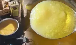 यूपी में मिलावटी घी के खिलाफ बड़ी कार्रवाई, इन तीन ब्रांडों की बिक्री, भंडारण और वितरण पर प्रतिबंध यूपी में मिलावटी घी के खिलाफ बड़ी कार्रवाई, इन तीन ब्रांडों की बिक्री, भंडारण और वितरण पर प्रतिबंध