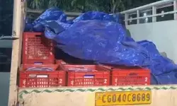 रायगढ़ में दही पैकेजिंग घोटाला, खाद्य सुरक्षा पर उठे सवाल