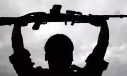 तेलंगाना में महिला समेत 8 माओवादी आत्मसमर्पण