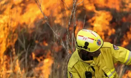 दिल्ली: आदर्श नगर के एक बैंक्वेट हॉल में लगी भीषण आग, दो घायल अस्पताल में भर्ती