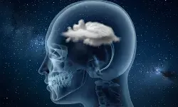 ब्रेन फॉग कहीं दिल की बीमारी का संकेत तो नहीं? जानें वैज्ञानिक कारण ब्रेन फॉग कहीं दिल की बीमारी का संकेत तो नहीं? जानें वैज्ञानिक कारण