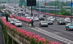 चीन में मोटर वाहनों और नई ऊर्जा वाहनों की संख्या में तेज बढ़ोतरी