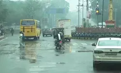 ग्वालियर-चंबल में रिमझिम बारिश, दिन का तापमान 19 डिग्री पर पहुंचा ग्वालियर-चंबल में रिमझिम बारिश, दिन का तापमान 19 डिग्री पर पहुंचा