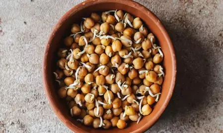 काला चना: भारी नहीं, बल्कि संतुलित आहार काला चना, मांसपेशियों के लिए संजीवनी