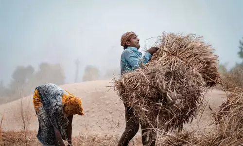 खेतों में मौन होता श्रम खेतों में मौन होता श्रम