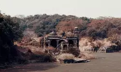 राजस्थान: रणथम्भौर सफारी में मोबाइल फोन बैन, सुप्रीम कोर्ट के निर्देश पर वन विभाग का फैसला