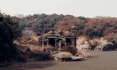 राजस्थान: रणथम्भौर सफारी में मोबाइल फोन बैन, सुप्रीम कोर्ट के निर्देश पर वन विभाग का फैसला राजस्थान: रणथम्भौर सफारी में मोबाइल फोन बैन, सुप्रीम कोर्ट के निर्देश पर वन विभाग का फैसला