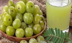 साधारण जल नहीं, बेहद गुणकारी है आवंले का पानी, पेट से लेकर रक्त की शुद्धि में लाभकारी