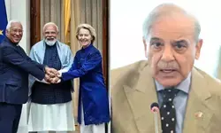 भारत-EU की मदर आफ आल डील्स से पाकिस्तान में हड़कंप, यूरोपीय बाजार में खत्म हो सकती है कीमत वाली बढ़त