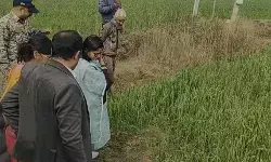 ग्वालियर में भारी ओलावृष्टि से रबी फसलें तबाह, प्रशासन कर रहा आकलन