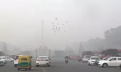 दिल्ली में घना कोहरा, ट्रैफिक और उड़ानों पर असर