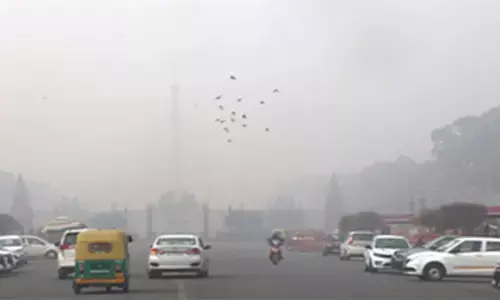 दिल्ली में घना कोहरा, ट्रैफिक और उड़ानों पर असर