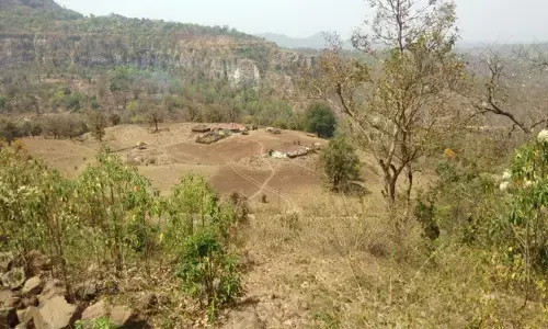 जंगल कैसे बचाते हैं पातालकोट के भारिया?