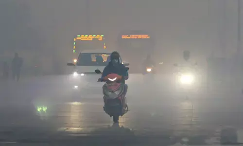 तमिलनाडु में बढ़ेगा पारा, देर सर्दियों में गर्मी का अहसास