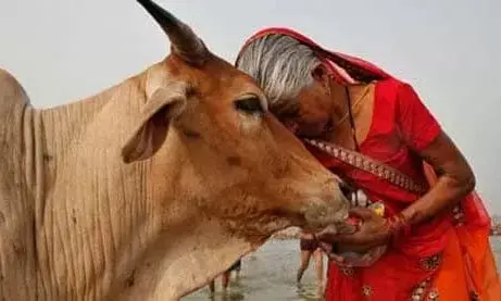 ओरण के अस्तित्व के लिए राष्ट्रीय गौसेवा नीति