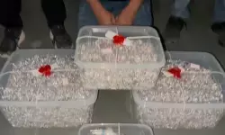 गुजरात: राजकोट चोरी मामले में चांदी की दूसरी खेप बरामद, संदिग्ध गिरफ्तार गुजरात: राजकोट चोरी मामले में चांदी की दूसरी खेप बरामद, संदिग्ध गिरफ्तार