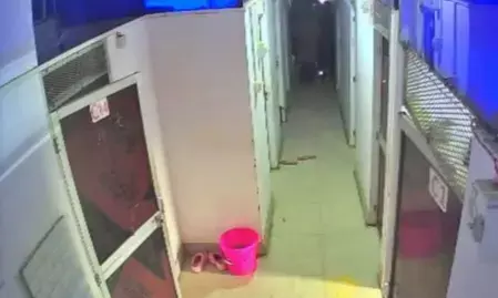 बिहार: अदालत के आदेश के बाद शंभू गर्ल्स हॉस्टल खुला