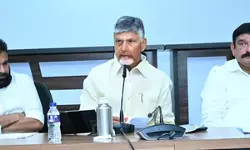 सीएम नायडू ने गुजरात भाजपा के सफलता फॉर्मूले को आंध्र प्रदेश में दोहराने के लिए कहा