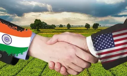 भारत-अमेरिका व्यापार समझौता भारत के किसानों के लिए सबसे बड़ा झटका साबित होगा भारत-अमेरिका व्यापार समझौता भारत के किसानों के लिए सबसे बड़ा झटका साबित होगा