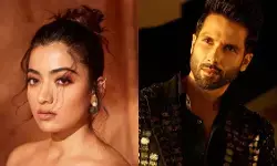 ‘कॉकटेल 2’ से आगे बढ़ी जोड़ी: शाहिद कपूर–रश्मिका मंदाना एक और रोमांटिक कॉमेडी में साथ आएंगे नजर