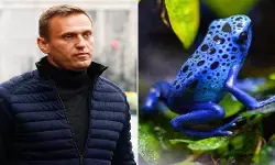 एलेक्सी नवलनी को ‘डार्ट मेंढक’ का जहर दिए जाने का दावा, पांच यूरोपीय देशों ने रूस पर लगाया आरोप