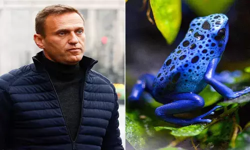 एलेक्सी नवलनी को ‘डार्ट मेंढक’ का जहर दिए जाने का दावा, पांच यूरोपीय देशों ने रूस पर लगाया आरोप