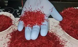 जम्मू-कश्मीर के सात उत्पादों को मिला जीआई टैग जम्मू-कश्मीर के सात उत्पादों को मिला जीआई टैग