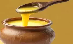 जीरो-फैट का कॉन्सेप्ट बिगाड़ सकता है सेहत, जानें कितनी जरूरी है शरीर के लिए वसा