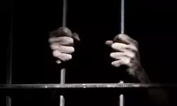 एआई समिट में प्रदर्शनकारियों को पकड़ने पहुंची दिल्ली पुलिस की टीम को हिमाचल पुलिस ने किया डिटेन एआई समिट में प्रदर्शनकारियों को पकड़ने पहुंची दिल्ली पुलिस की टीम को हिमाचल पुलिस ने किया डिटेन