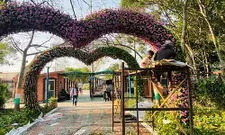 ग्रेटर नोएडा में चार दिनों तक सजेगी फूलों की रंगीन दुनिया, लोगों को लुभाएंगी ऑपरेशन सिंदूर की झांकी के साथ राष्ट्रीय पक्षी की आकृतियां ग्रेटर नोएडा में चार दिनों तक सजेगी फूलों की रंगीन दुनिया, लोगों को लुभाएंगी ऑपरेशन सिंदूर की झांकी के साथ राष्ट्रीय पक्षी की आकृतियां