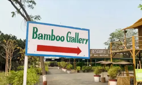 गुजरात का बैंबू स्टार्टअप: योगेश ने बनाई आत्मनिर्भरता की राह