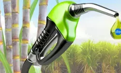 इथनाल ब्लेन्डिंग समस्या है समाधान नहीं इथनाल ब्लेन्डिंग समस्या है समाधान नहीं