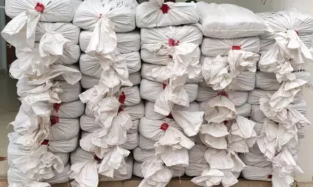 असम में एनसीबी की बड़ी कार्रवाई: दो तस्कर गिरफ्तार, 524.9 किलो गांजा जब्त