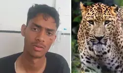 हिमाचल में युवक ने निहत्थे तेंदुए को मार गिराया