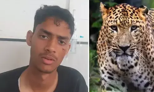 हिमाचल में युवक ने निहत्थे तेंदुए को मार गिराया