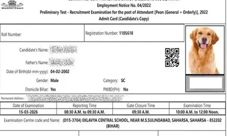 बिहार कोर्ट भर्ती एडमिट कार्ड में उम्मीदवार की जगह कुत्ते की तस्वीर बिहार कोर्ट भर्ती एडमिट कार्ड में उम्मीदवार की जगह कुत्ते की तस्वीर