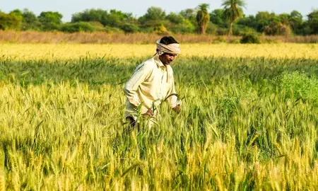गुजरात के किसानों को पीएम किसान की 22वीं किस्त में 1,028 करोड़ रुपए से ज्यादा मिलेंगे
