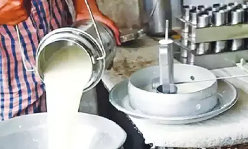 अब बिना लाइसेंस नहीं बेच पाएंगे दूध, होगी कड़ी कार्रवाई; मिलावट की घटनाओं को देखते हुए एडवाइजरी जारी